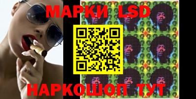 ALPHA PVP Камышлов