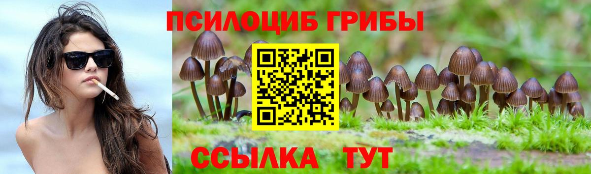 Лесозаводск  Псилоцибиновые грибы MAGIC MUSHROOMS  что такое   Вход с VPN 